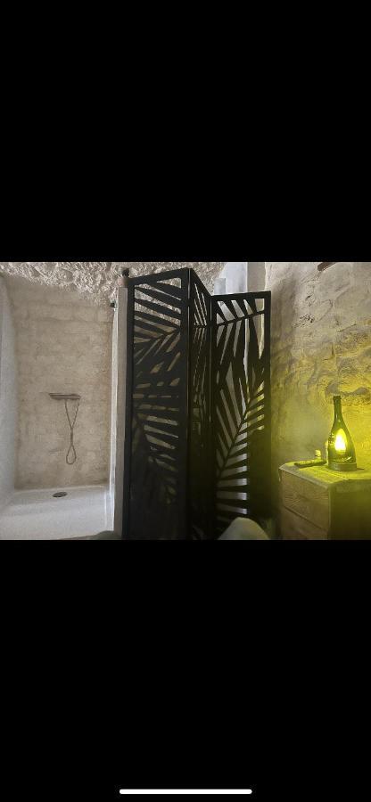 Apartamento Voute Des Anges Type Loft Sans Cloison Castelnau-Montratier Exterior foto